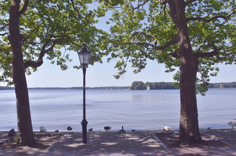 Ausgewählte schöne Projekte